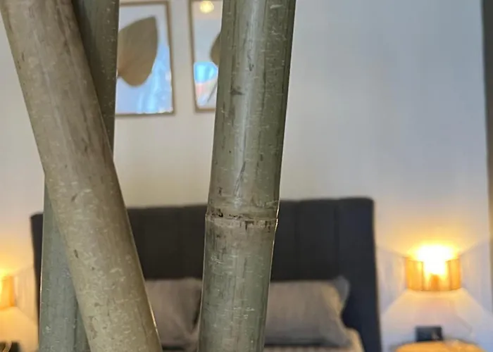 公寓 Queen, Saint Vlas, улица черно море 12